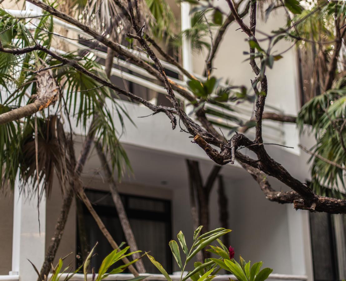 Casa Ambar Tulum - Great Location Hotel Exterior foto